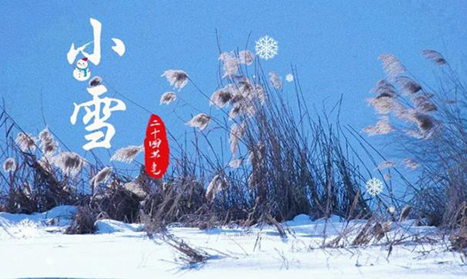 今日小雪丨天地初寒，愿岁月安暖